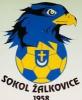 Mistrovské utkání ml. žáků o 1. - 4. místo Žalkovice - Rymice 0 : 4